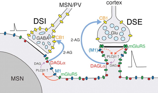 Figure 10.