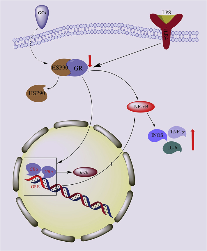 Figure 4