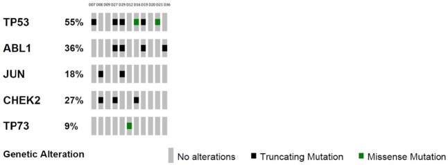 Fig 3