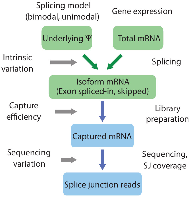 Figure 3—figure supplement 2.