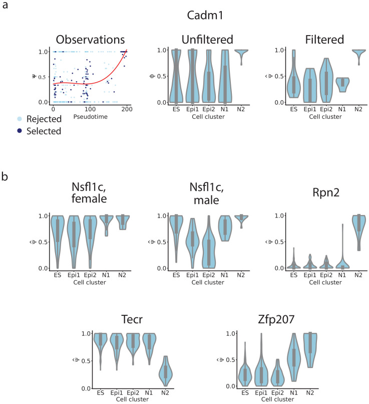 Figure 4—figure supplement 4.