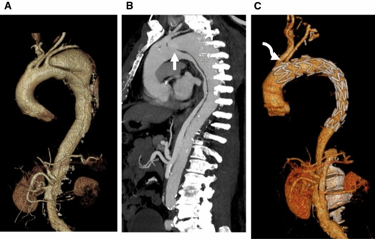 Fig. 4