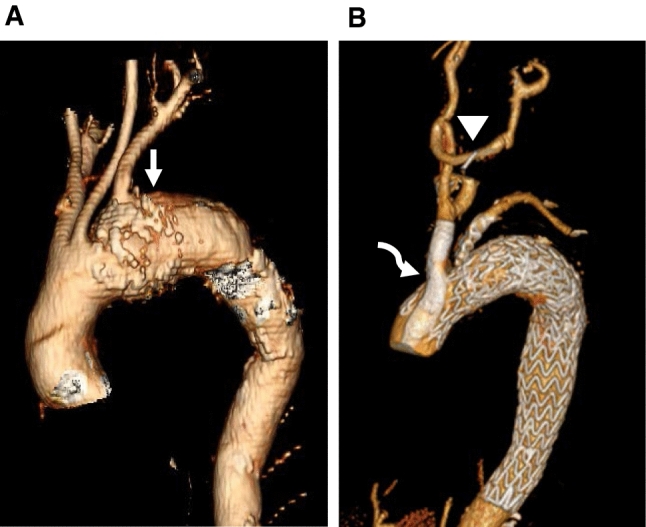 Fig. 8