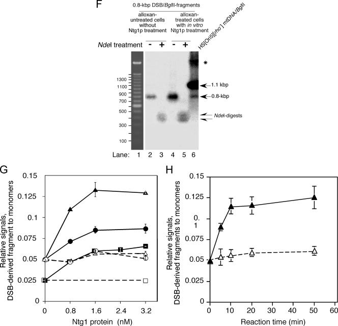 Figure 3b