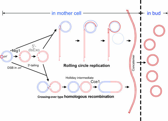 FIG. 5.