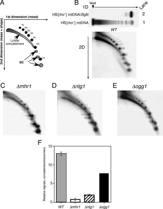 FIG. 4.