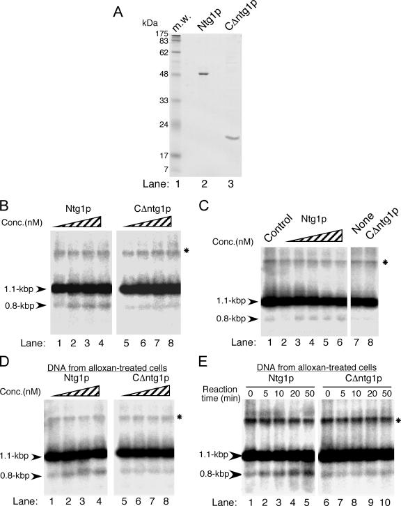 FIG.3.