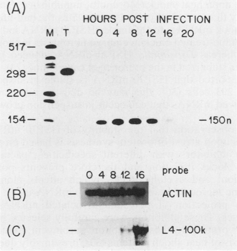 graphic file with name molcellb00084-0225-a.jpg