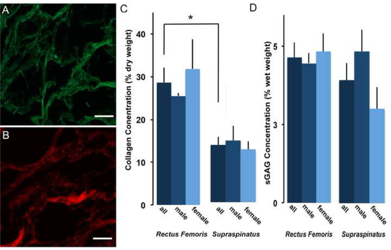 Figure 6: