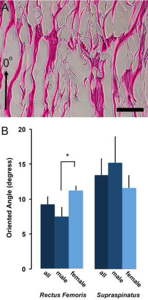 Figure 5: