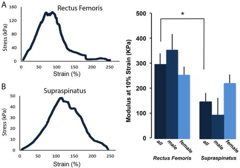 Figure 7: