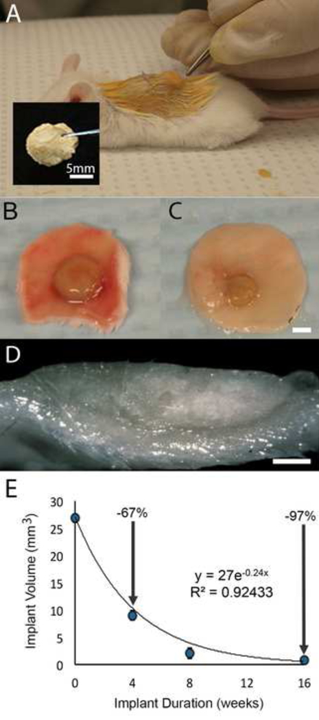 Figure 9: