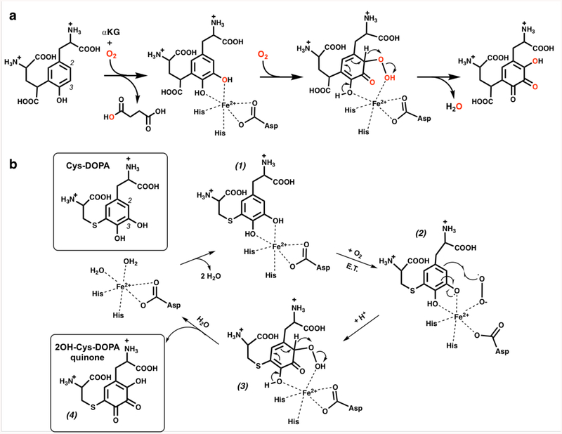 Figure 7.