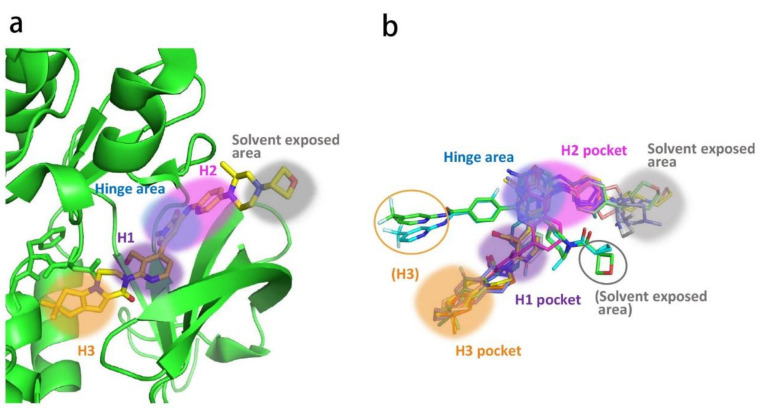 Figure 13