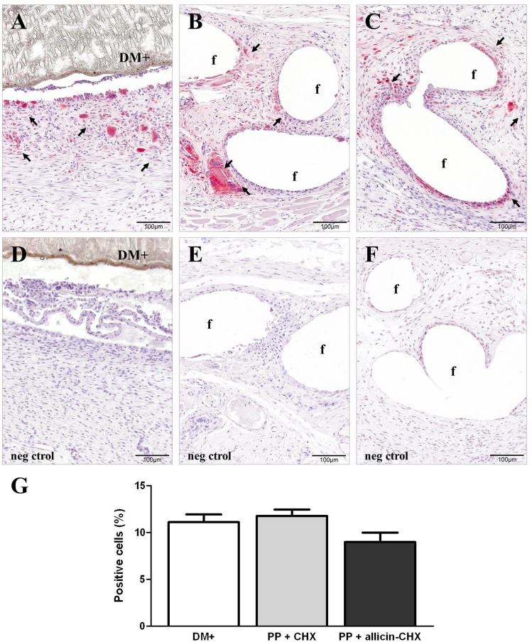 Fig 7