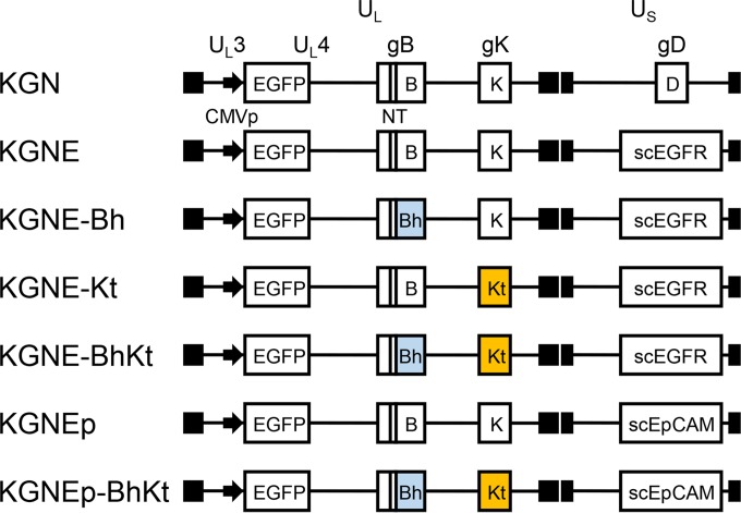 FIG 1