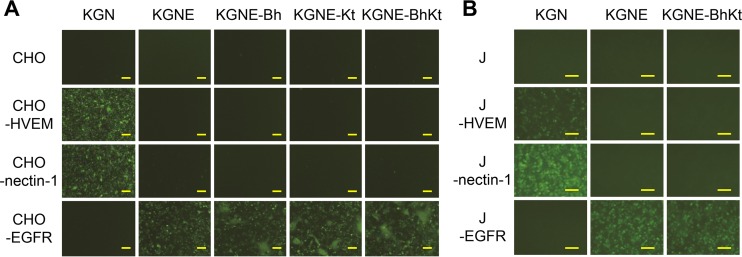 FIG 5