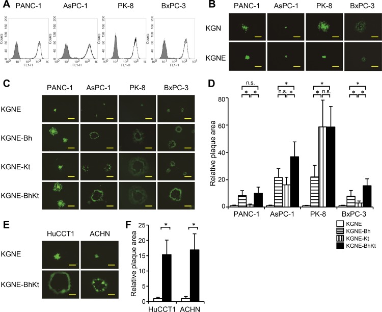 FIG 3