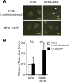 FIG 6
