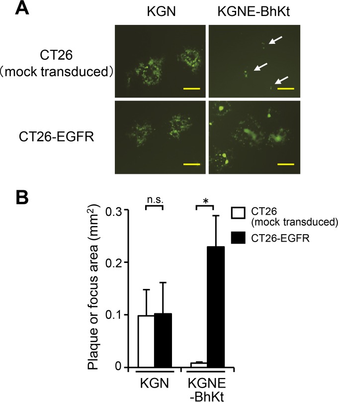 FIG 6