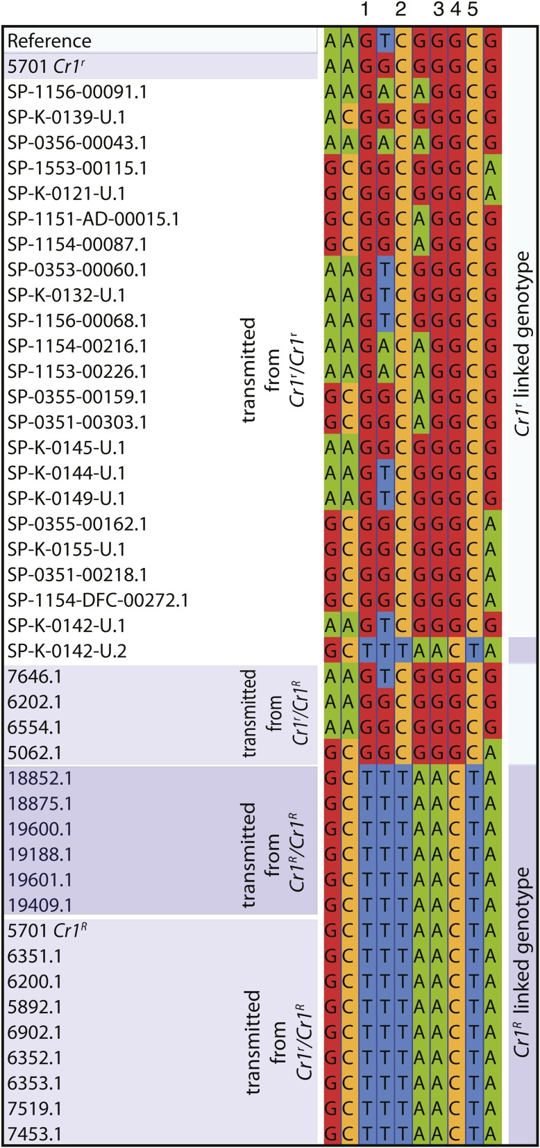 Figure 5