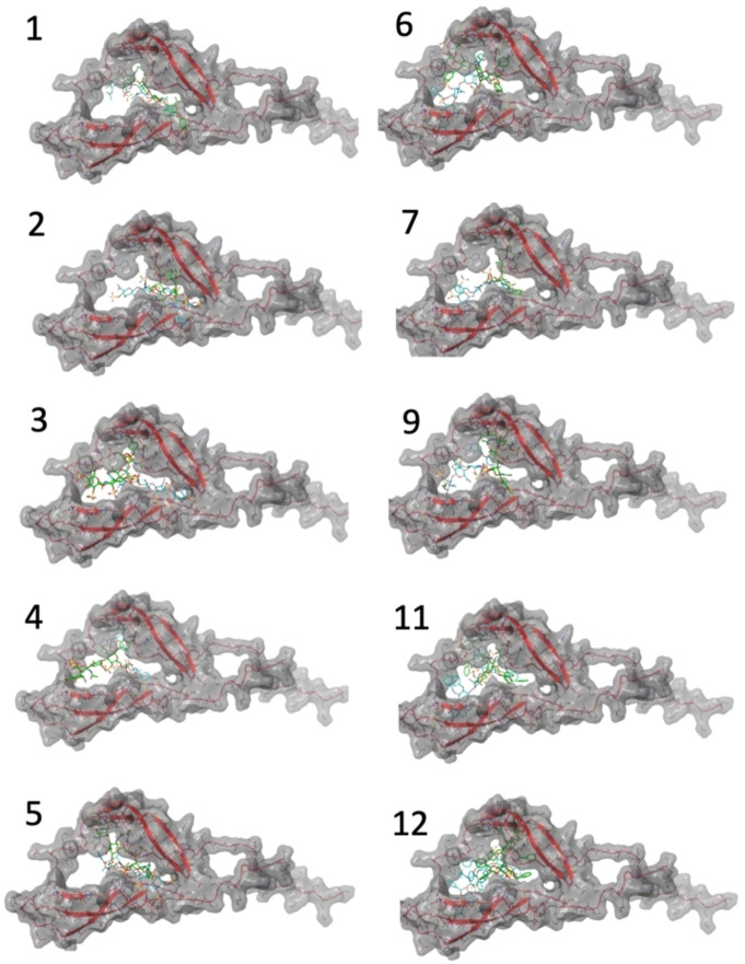 Figure 11