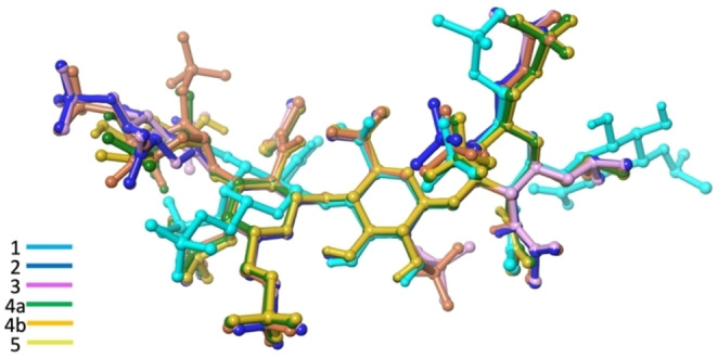 Figure 5