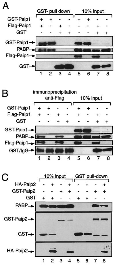 FIG. 10.