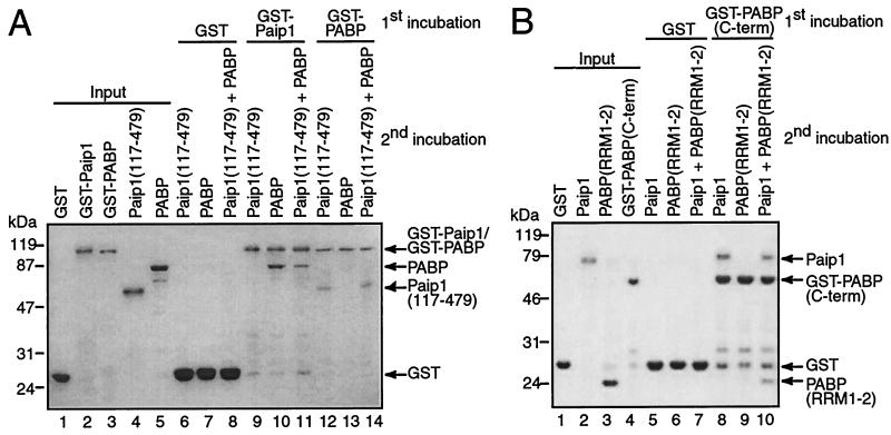 FIG. 9.