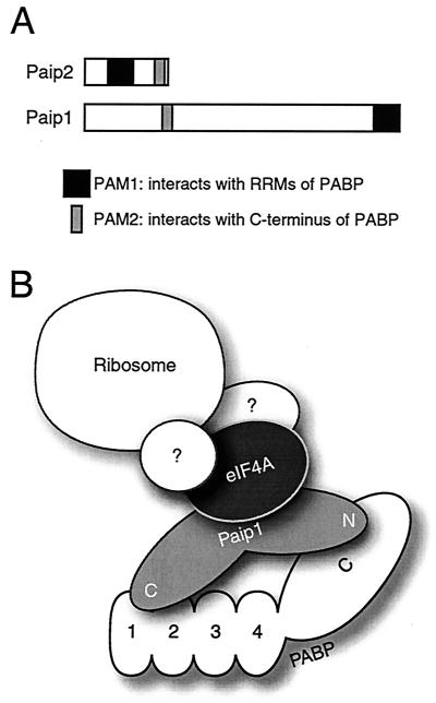 FIG. 11.