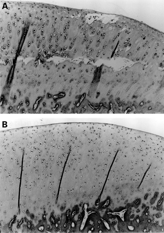 Figure 5  