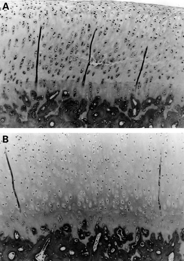 Figure 3  