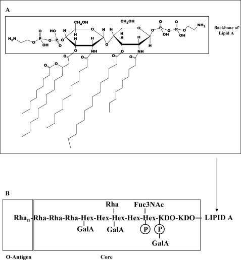 FIGURE 9.