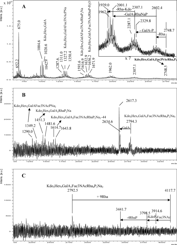 FIGURE 4.