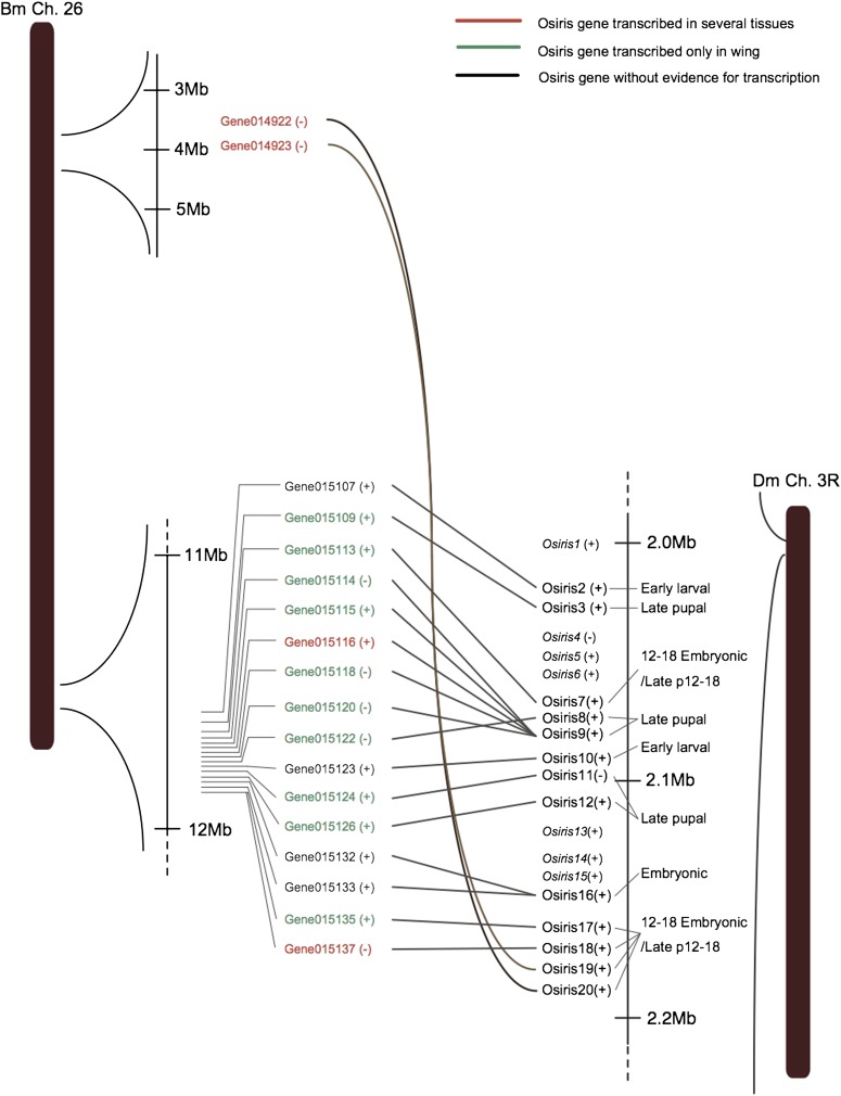 Figure 5