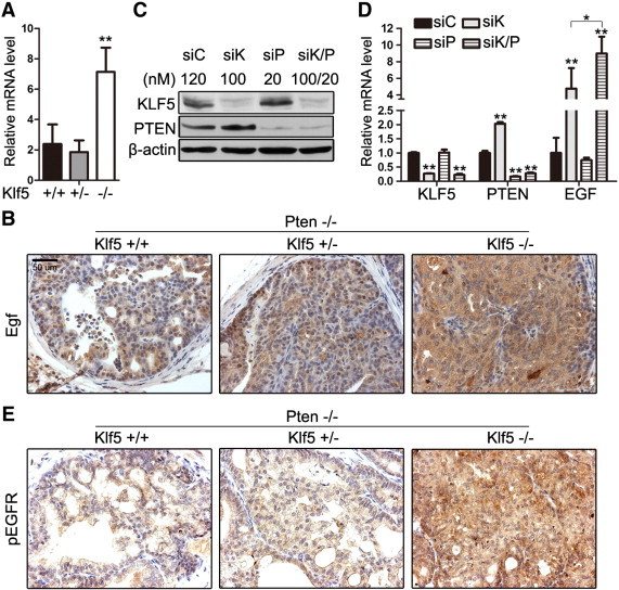 Figure 6