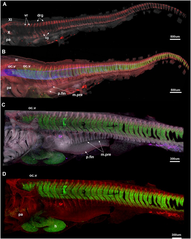 Fig 4