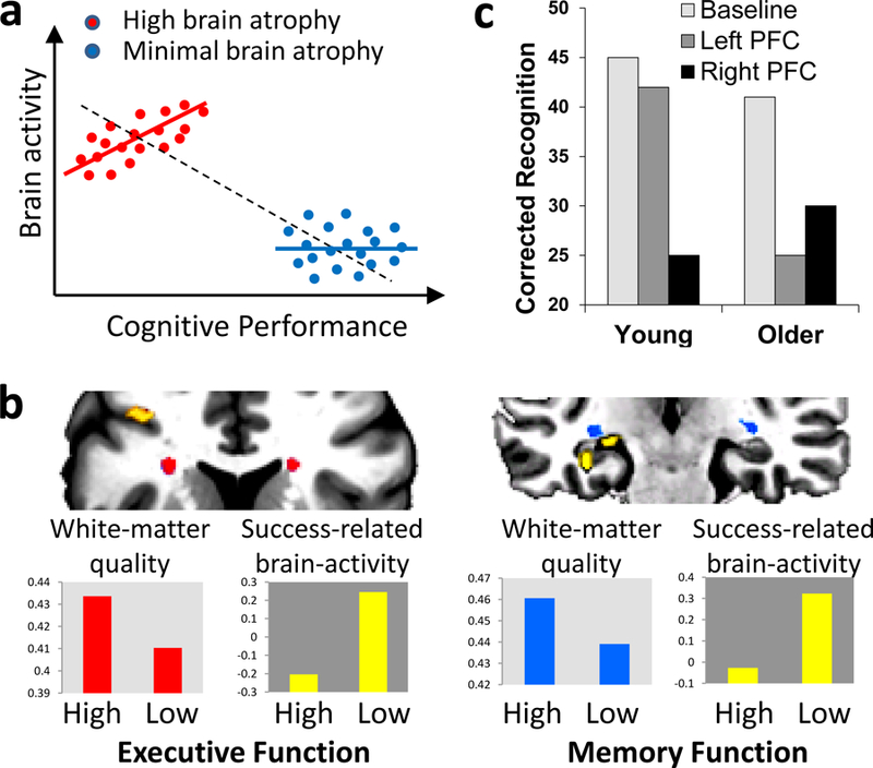 Box 1. Linking compensatory activity to successful cognitive performance