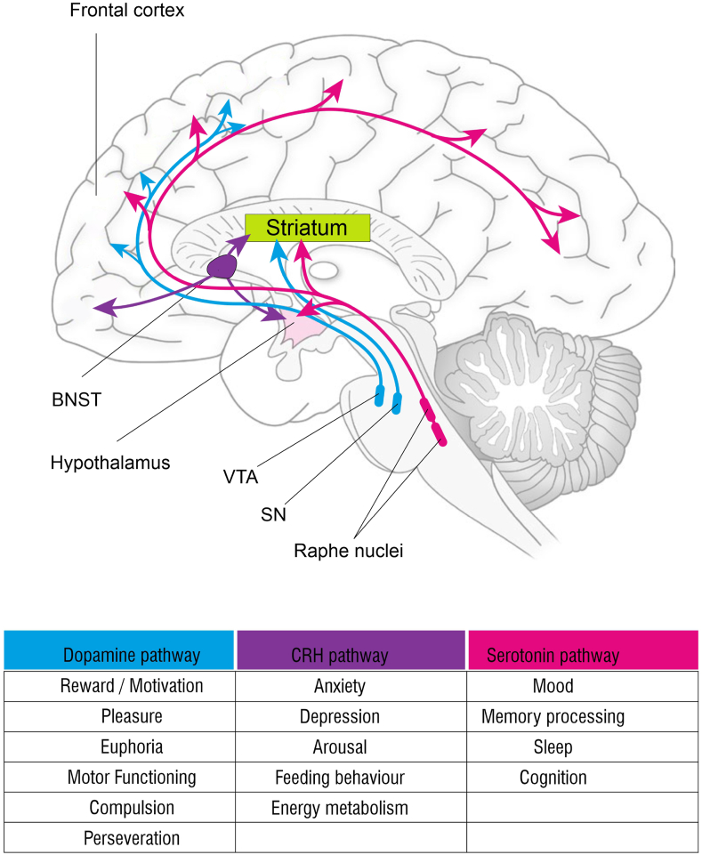 Figure 3