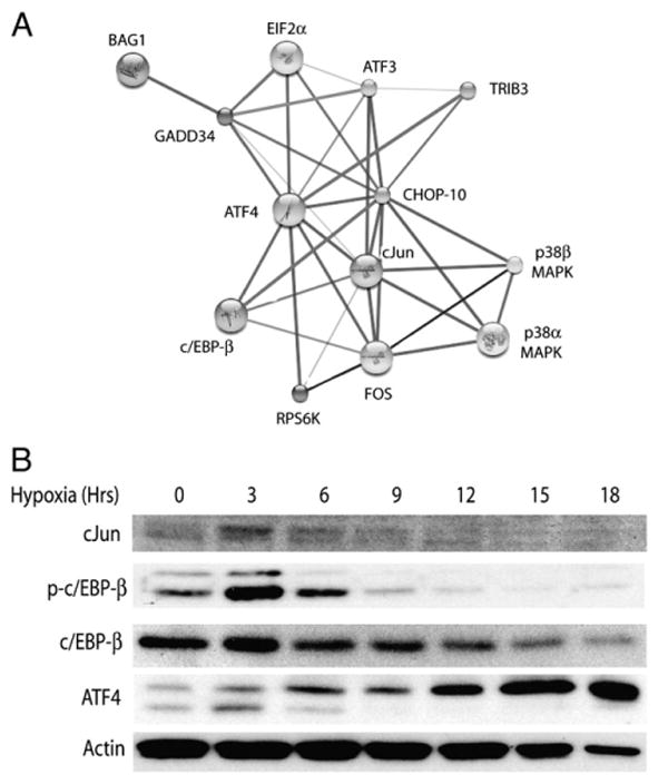 Fig. 5