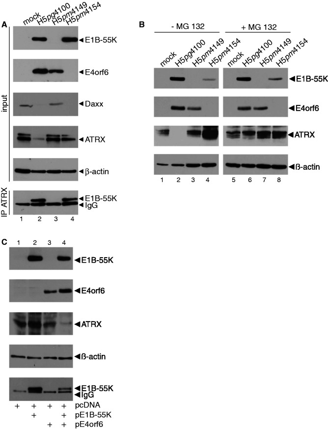 Figure 6.