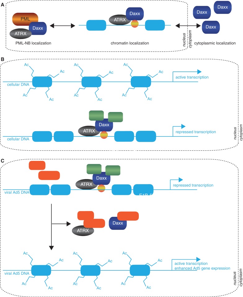 Figure 10.