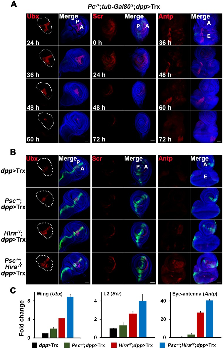 Fig 6