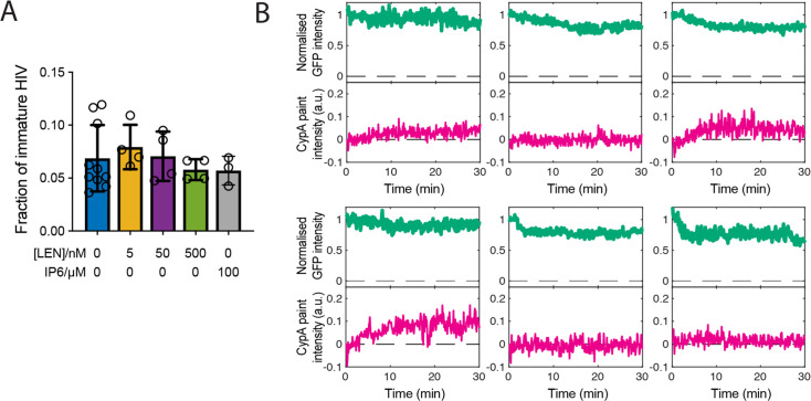 Figure 2—figure supplement 1.