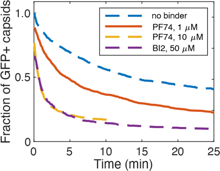 Figure 7—figure supplement 1.