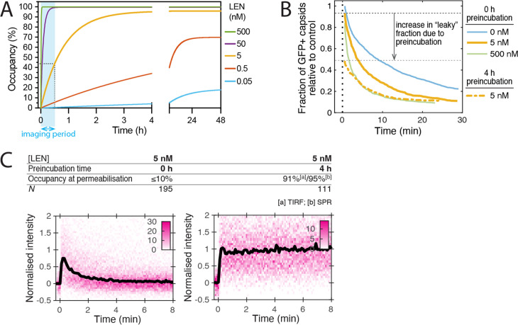 Figure 4—figure supplement 1.