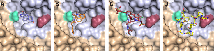 Figure 1.