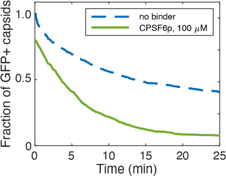 Figure 8—figure supplement 1.