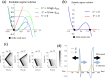 Dynamics of the model behavior.