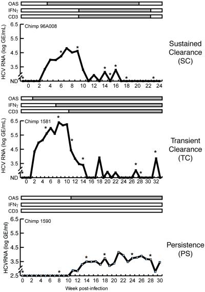 Fig 1.